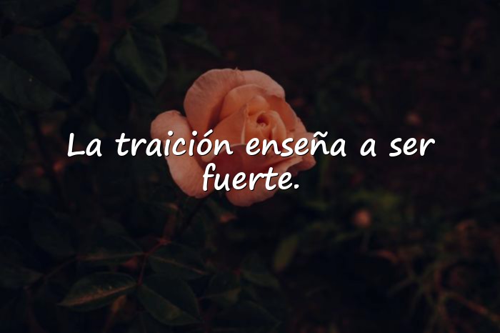 Imágenes frases de traicion - 21