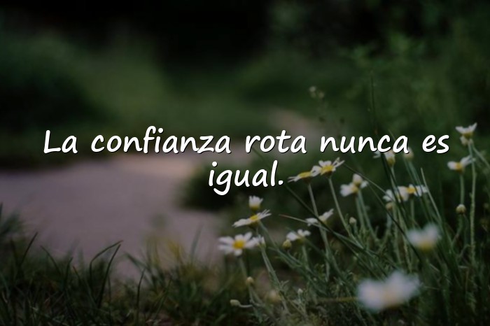 Imágenes frases de traicion - 16