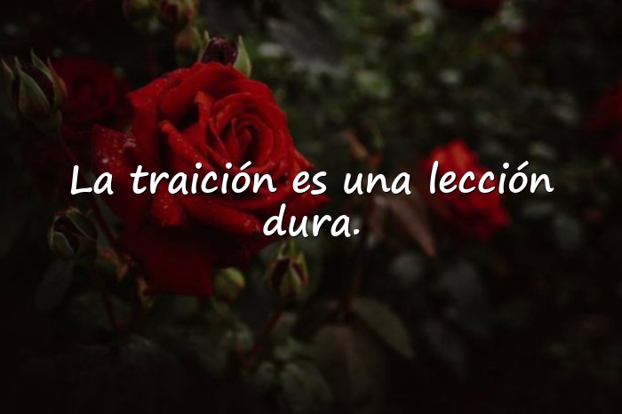 Imágenes frases de traicion - 11