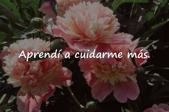 Imágenes frases de traicion - 6