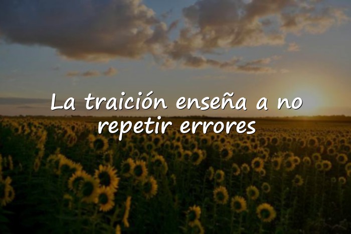 Imágenes frases de traicion - 1