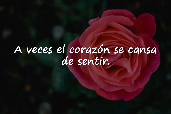 Imágenes frases de tristeza - 17