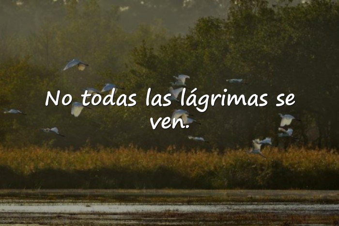 Imágenes frases de tristeza - 4