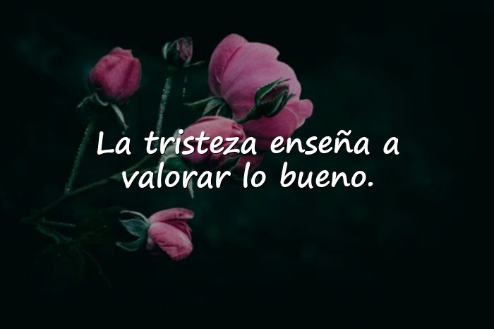 Imágenes frases de tristeza - 25