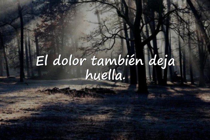 Imágenes frases de tristeza - 15