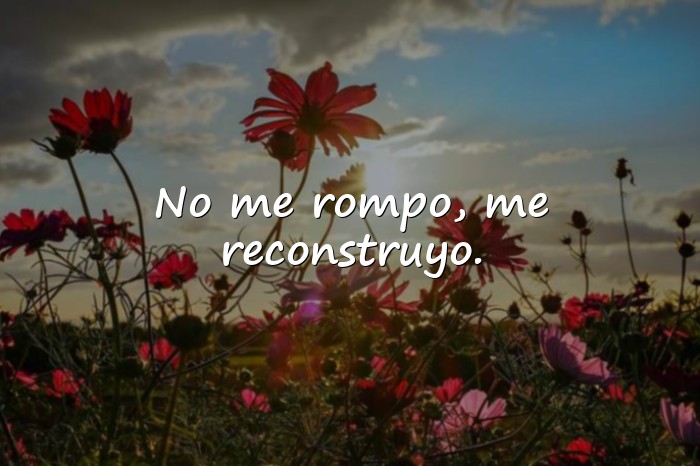 Imágenes frases de una mujer fuerte y segura - 18