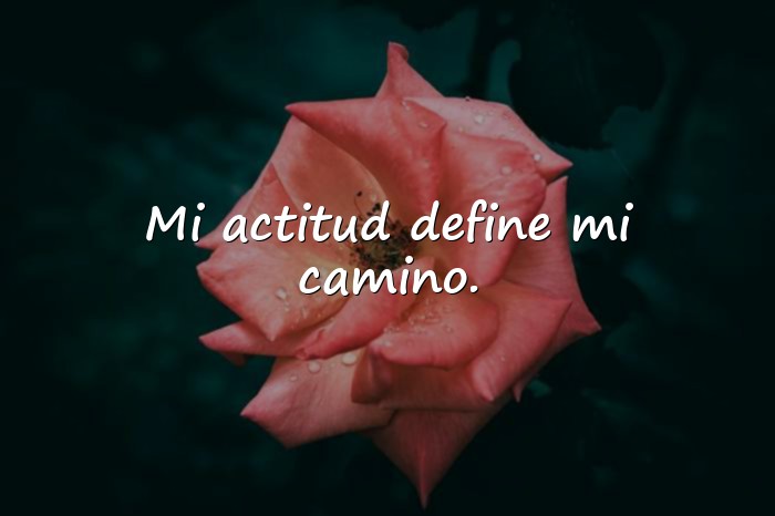 Imágenes frases de una mujer fuerte y segura - 5
