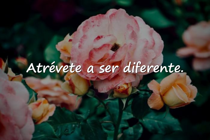 Imágenes frases de valor - 20