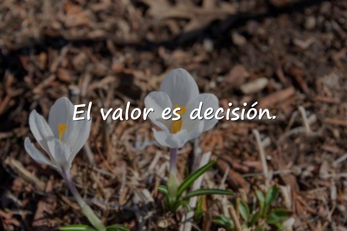 Imágenes frases de valor - 16