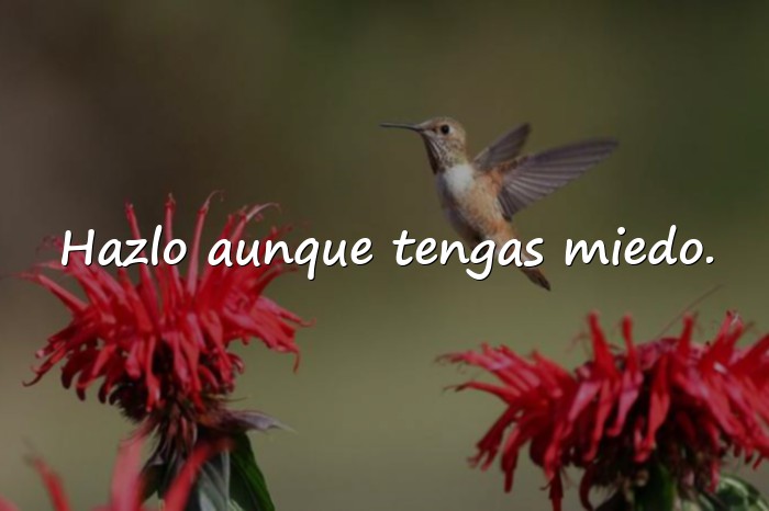 Imágenes frases de valor - 11