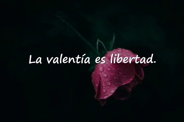 Imágenes frases de valor - 6