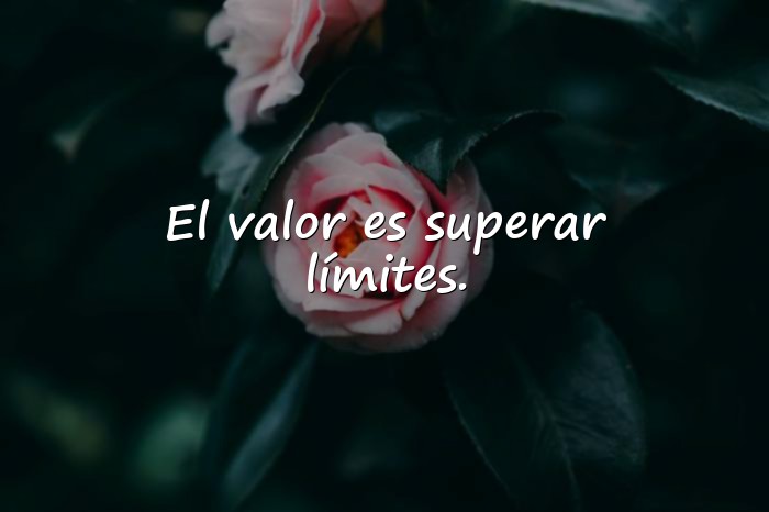 Imágenes frases de valor - 1