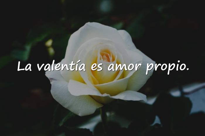 Imágenes frases de valor - 21