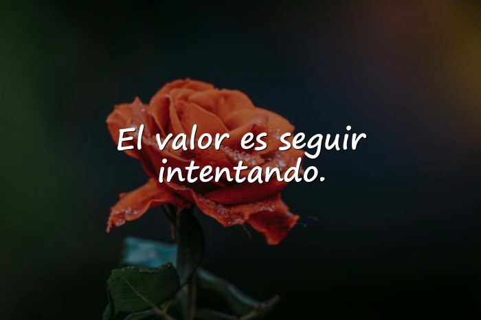 Imágenes frases de valor - 16
