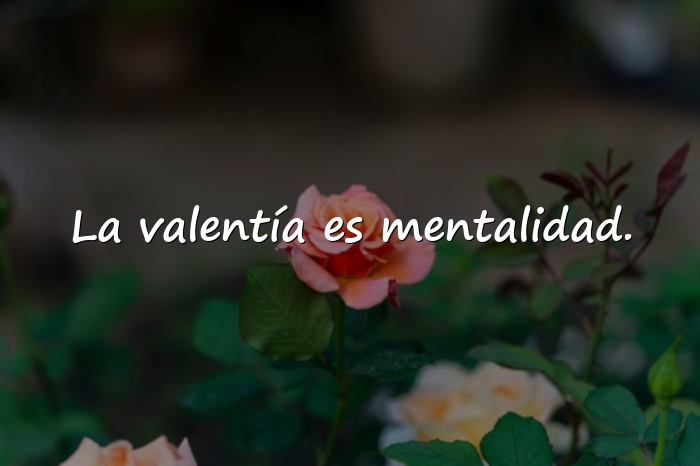 Imágenes frases de valor - 11