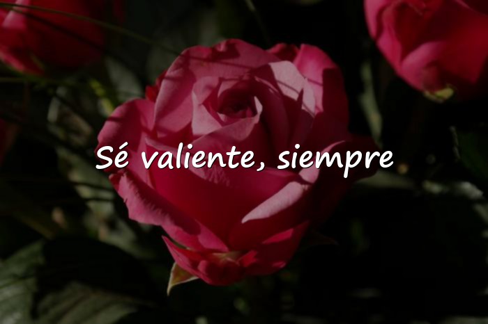 Imágenes frases de valor - 1