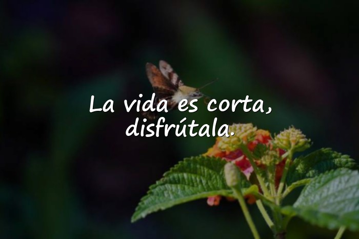 Imágenes frases de vida - 5