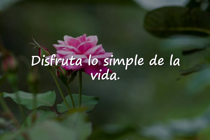 Imágenes frases de vida - 23