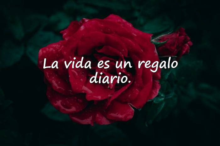 Imágenes frases de vida - 20