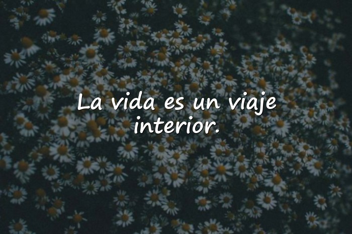 Imágenes frases de vida - 14