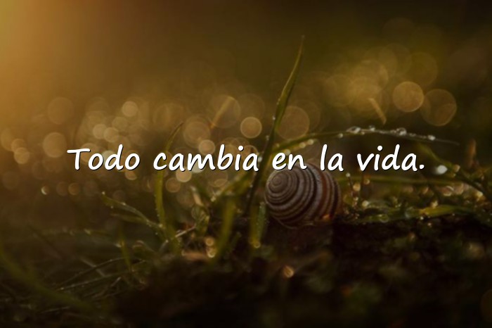Imágenes frases de vida - 11