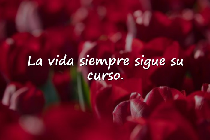 Imágenes frases de vida - 1
