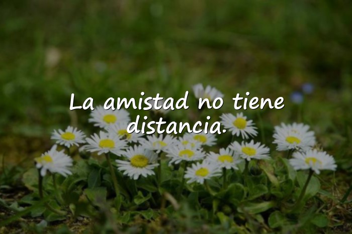 Imágenes frases del dia del amigo - 14