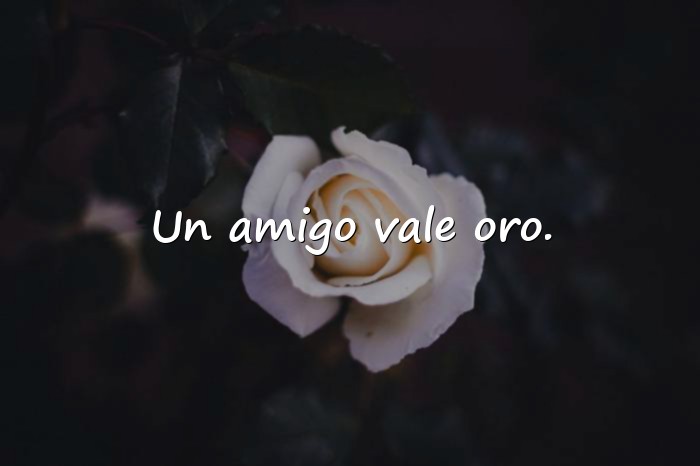 Imágenes frases del dia del amigo - 9