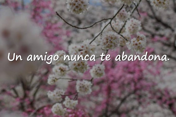 Imágenes frases del dia del amigo - 4