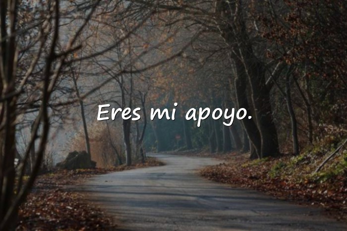 Imágenes frases del dia del amigo - 24