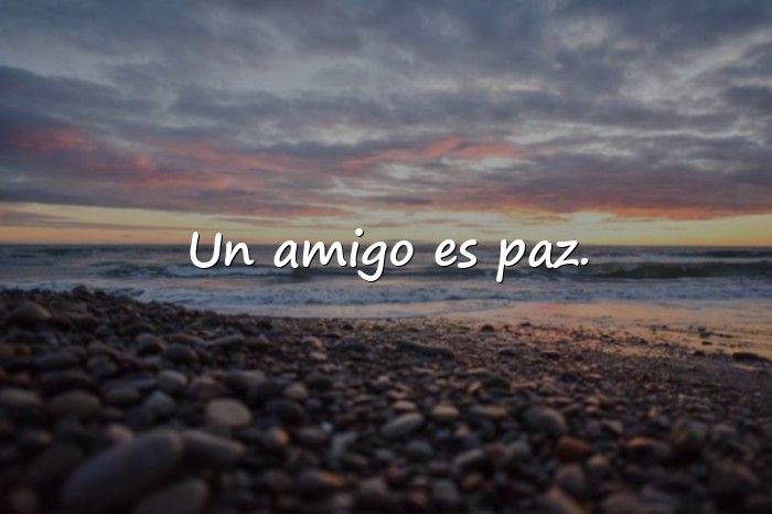 Imágenes frases del dia del amigo - 20