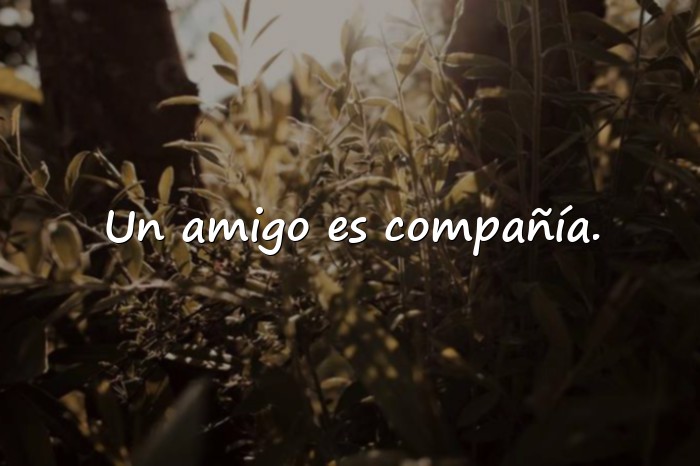 Imágenes frases del dia del amigo - 16