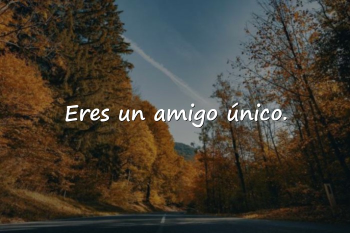 Imágenes frases del dia del amigo - 6