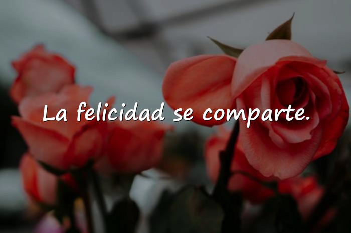 Imágenes frases del dia del amor y la amistad - 21