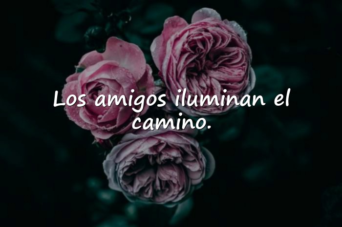 Imágenes frases del dia del amor y la amistad - 18