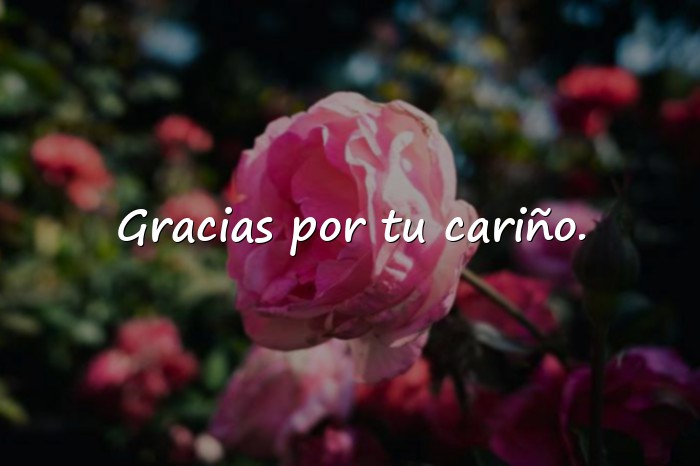 Imágenes frases del dia del amor y la amistad - 14