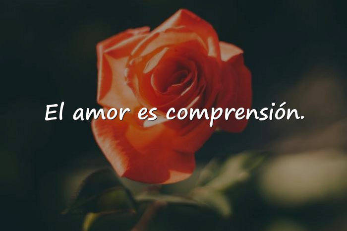 Imágenes frases del dia del amor y la amistad - 6