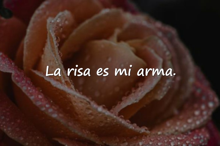 Imágenes frases del guason - 10