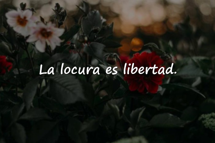 Imágenes frases del guason - 5
