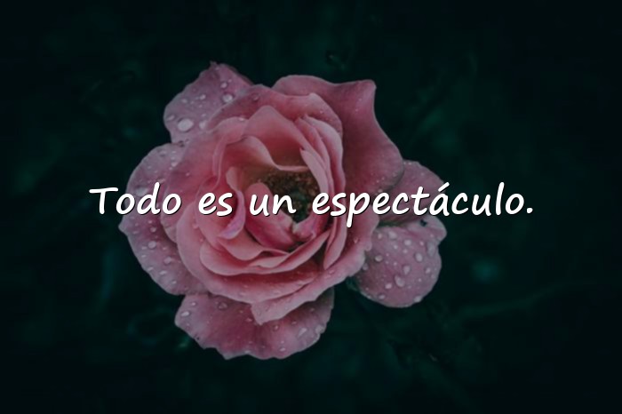 Imágenes frases del guason - 20