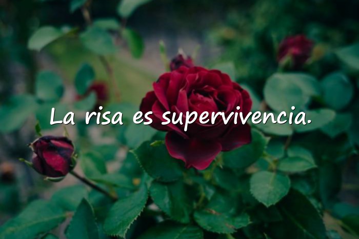 Imágenes frases del guason - 11