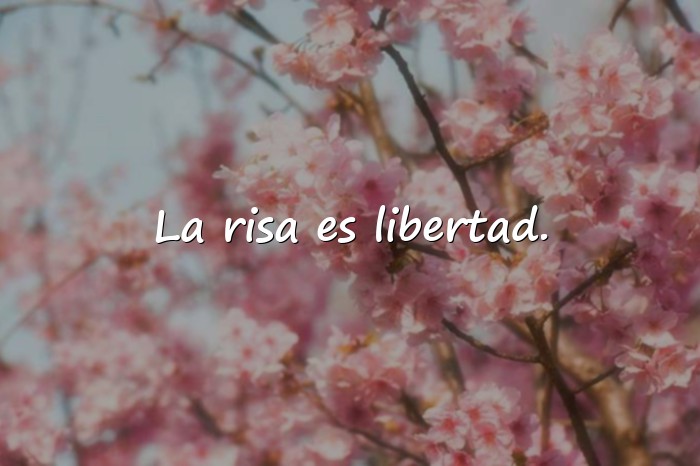 Imágenes frases del guason - 6