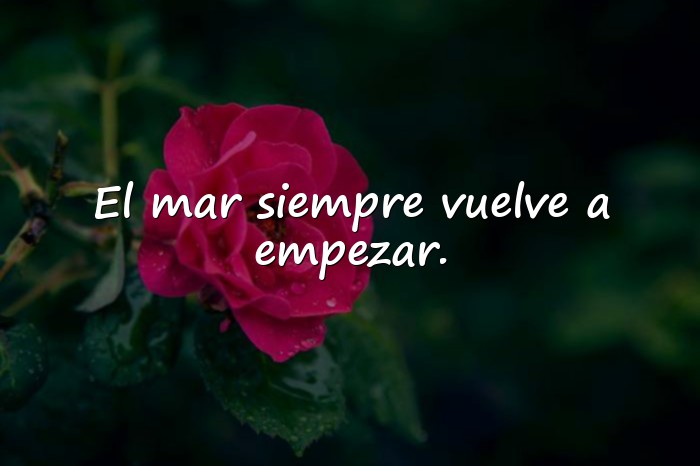 Imágenes frases del mar - 16