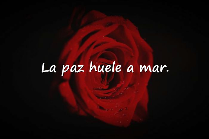 Imágenes frases del mar - 11