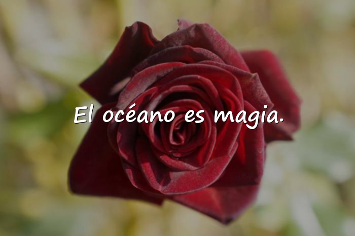 Imágenes frases del mar - 1