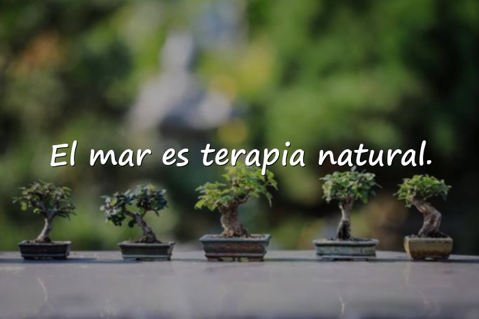 Imágenes frases del mar - 21