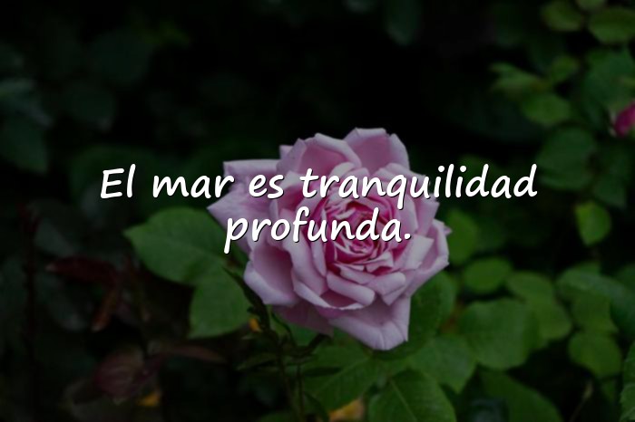 Imágenes frases del mar - 11