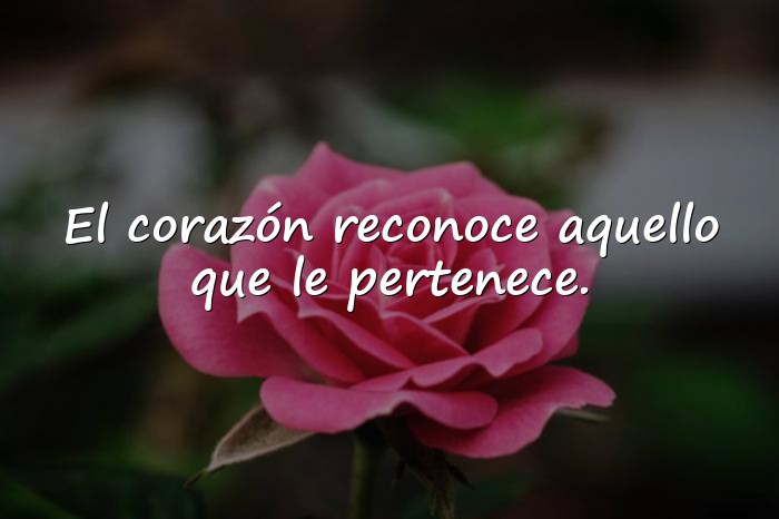 Imágenes frases del principito - 10