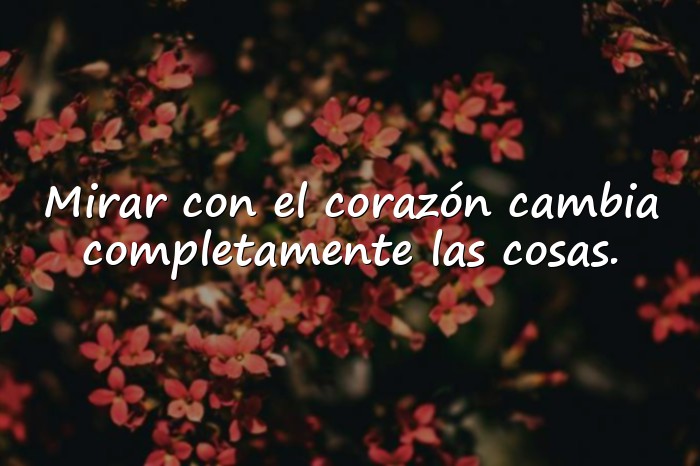 Imágenes frases del principito - 25
