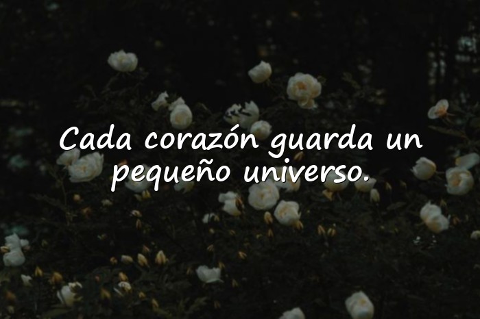 Imágenes frases del principito - 11